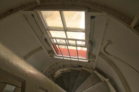 window and weights