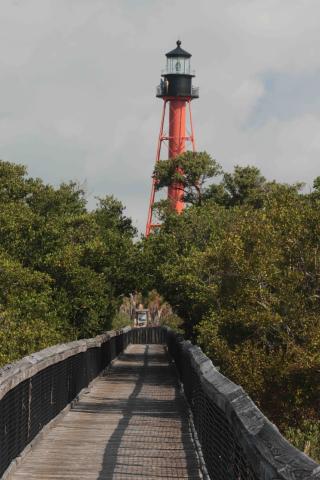view from boardwalk