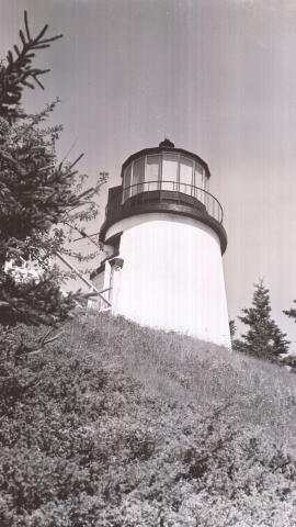 Owls Head postcard