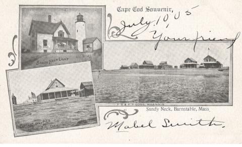 Sandy neck, MA 1900-197 HEC (01)