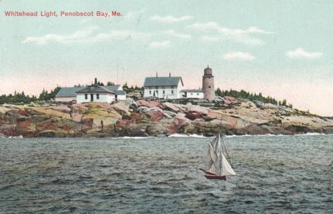 Whitehead postcard