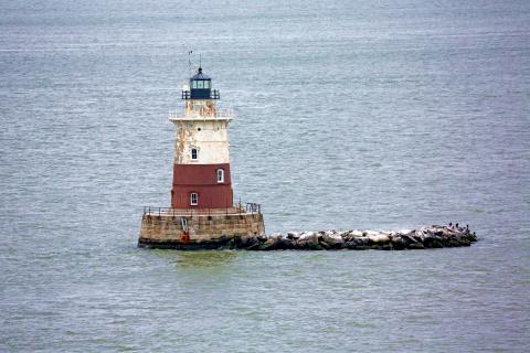 Robbins Reef NY REE.jpg