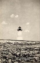 real photo postcard