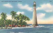 daylight beach illustration