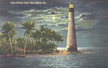 beach illustration at night
