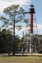 lighthouse and tree