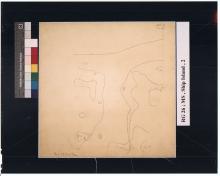topo map