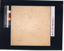 topo map