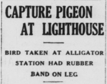 headline of article
