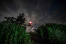 view of Station through the tall grasses