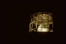 bivalve lens in lantern, illuminated